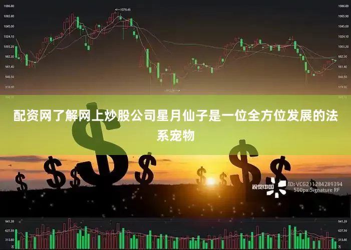 配资网了解网上炒股公司星月仙子是一位全方位发展的法系宠物