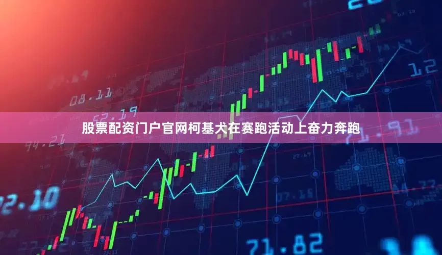 股票配资门户官网柯基犬在赛跑活动上奋力奔跑
